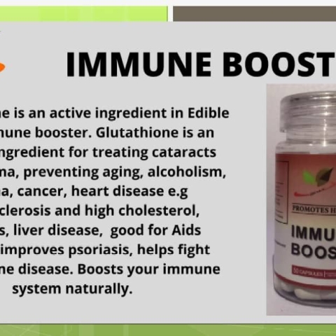 Edible Herb's Immune Booster