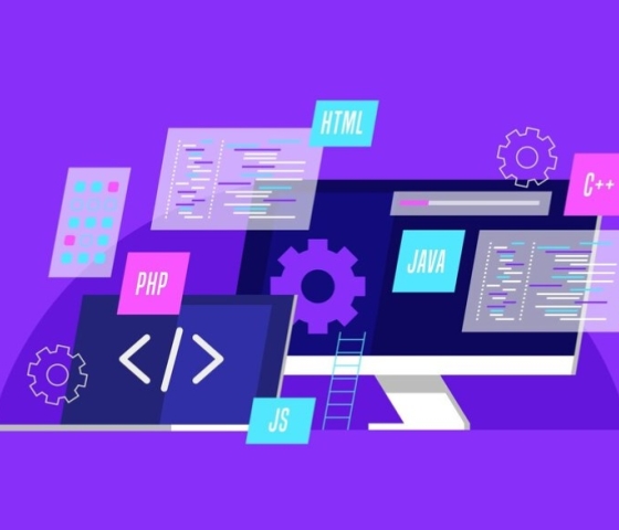 Web Development